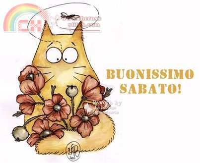 sabato.jpg