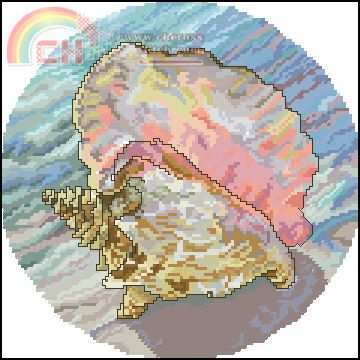 Conch_Shell.jpg