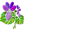 rs4g01.jpg