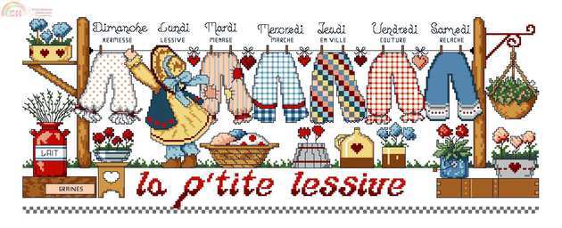 COUNTRY BLOOMERS FOTO.jpg