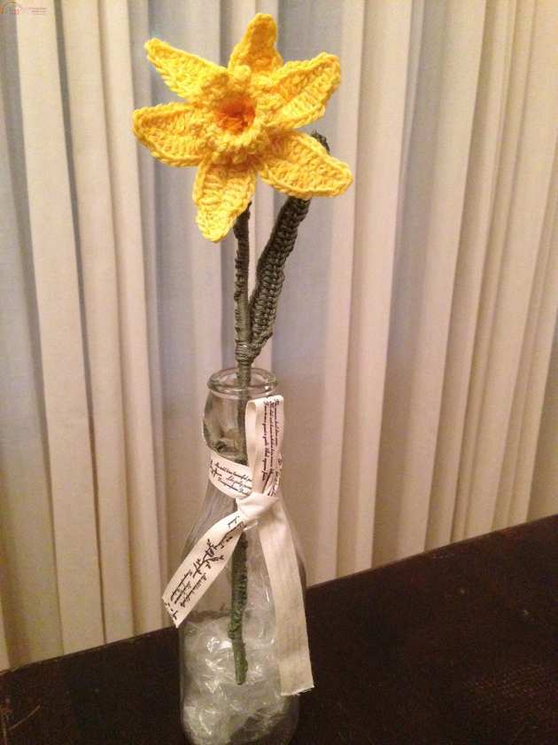 narcissus