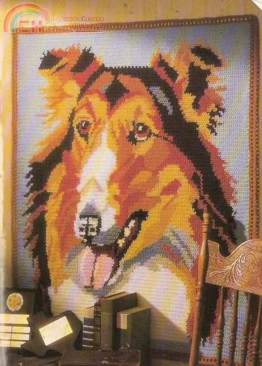 CollieAfghan1of2.jpg