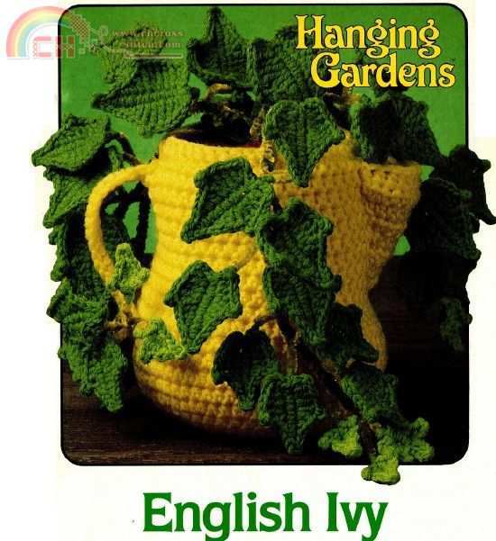 English Ivy by Hanging Gardens