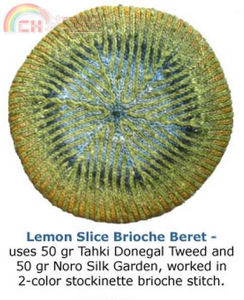 Lemon Slice Beret.jpg