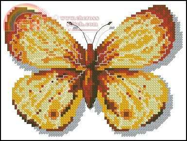 jasuzip-2004-04-a-butterfly-clossiana-perryi-1.jpg