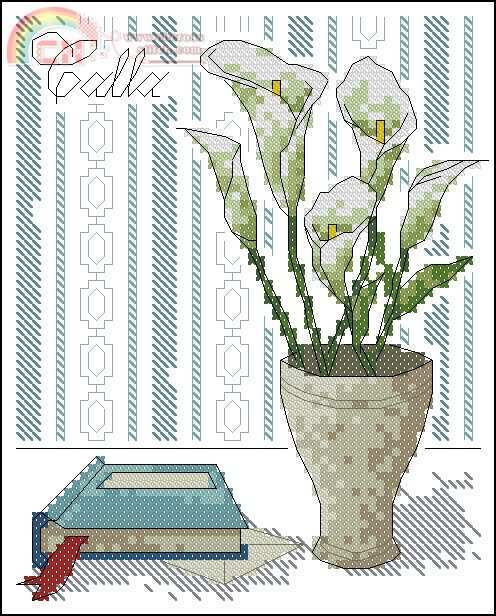 jasu-zip-2005.07-still-life-calla.jpg