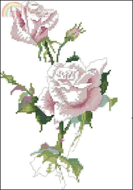 ga-fs592-roses_ii.jpg
