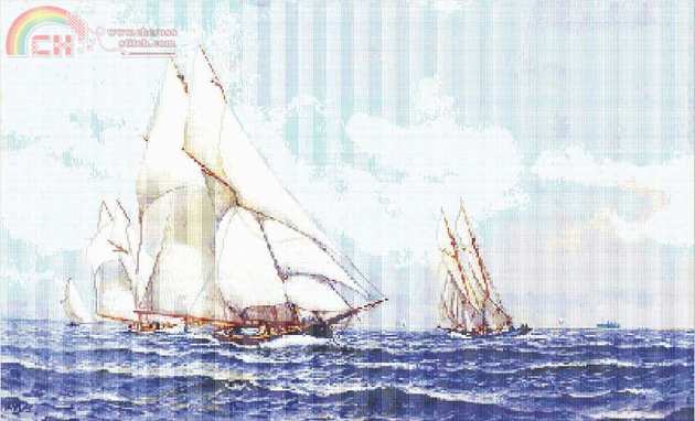 sh-201-08-yacht-race.jpg