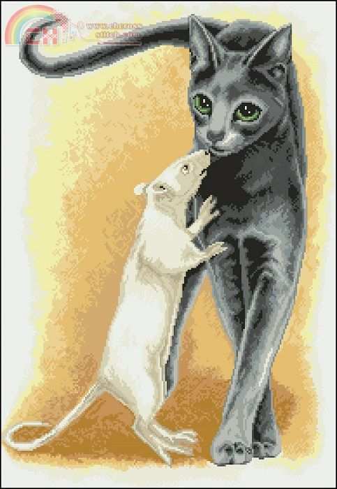 nastunya20_cat__rat.jpg