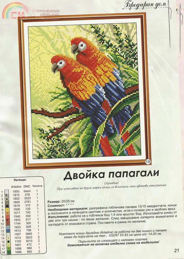 65.jpg