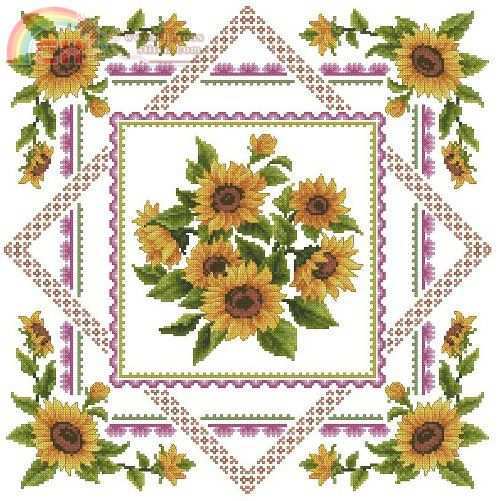 Sunflower.JPG