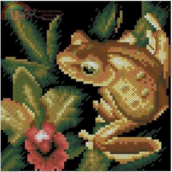 gold frog.JPG