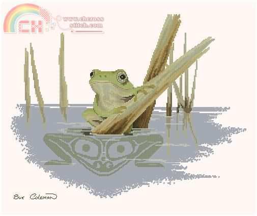 sue coleman frog.JPG