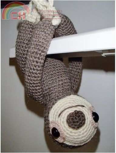 sloth.jpg