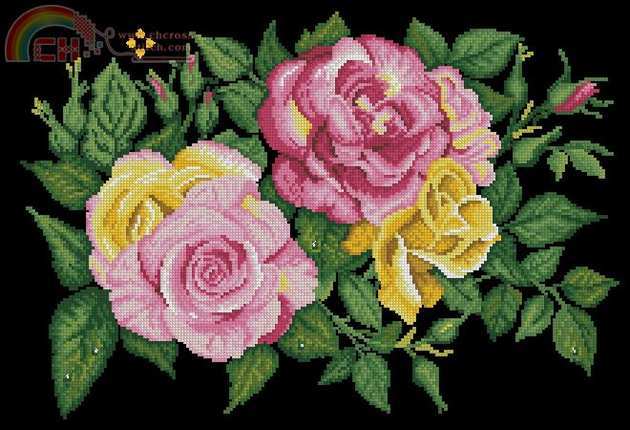 Spray of roses.jpg