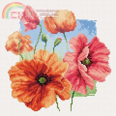 Poppies.jpg