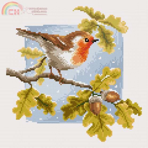 Robin in the autumn.jpg