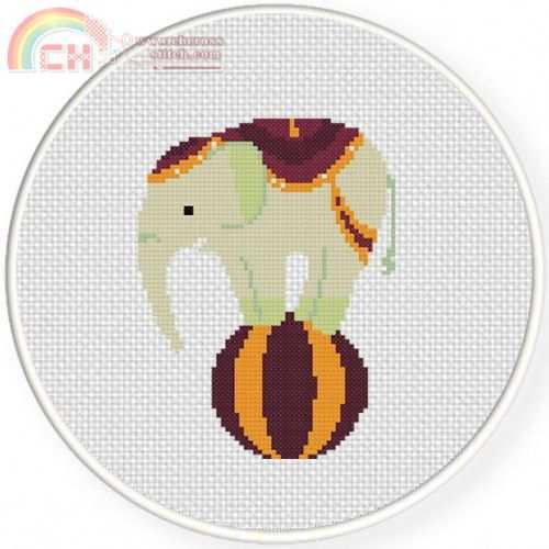Elephant-on-Ball.jpg
