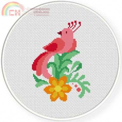 Paradise-Bird.jpg