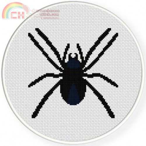 Spider.jpg