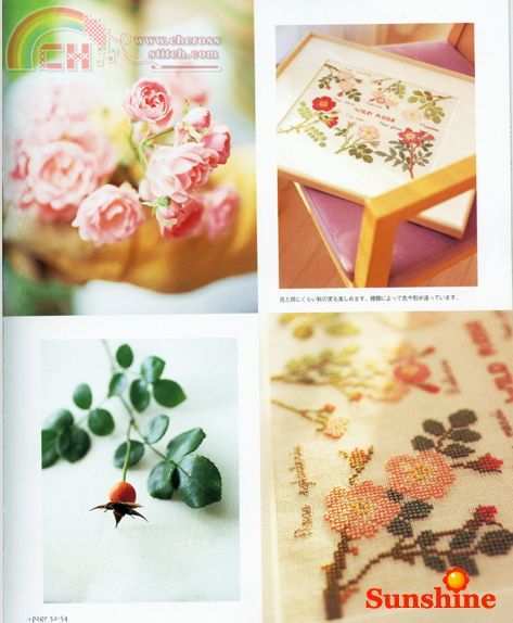 Wildflower garden book-pag32.jpg