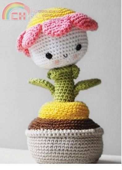 Daisy the Flower.jpg