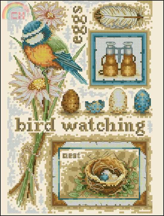 Anchor CS Collection 2008-158 Bird Watching (2).jpg