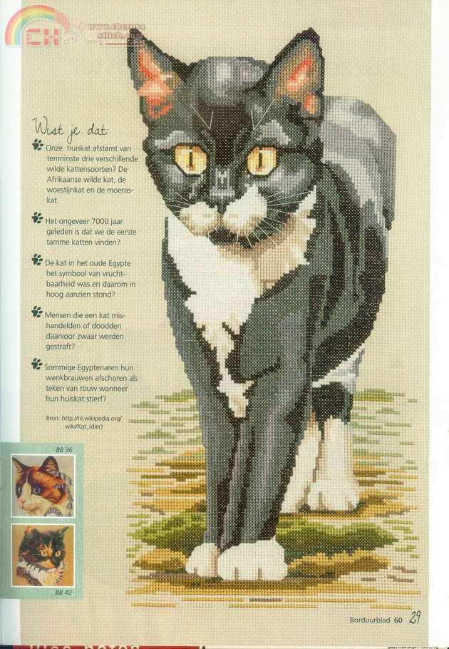 29.jpg