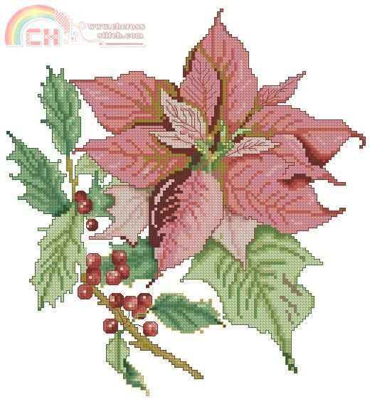 poinsettia.JPG