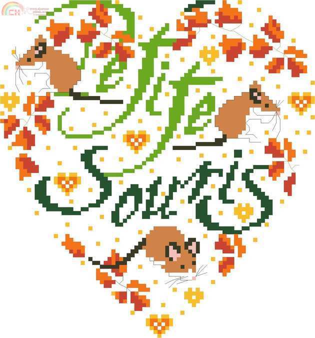 50111 Petite Souris.jpg