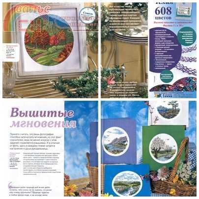 page4.jpg