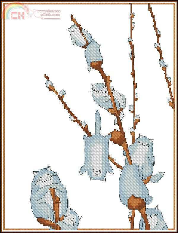 Cats_willow.jpg