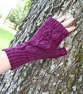 Autumn in the Ozarks.jpg