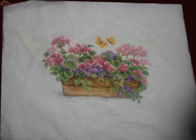 vervaco 70.039 geraniums.JPG