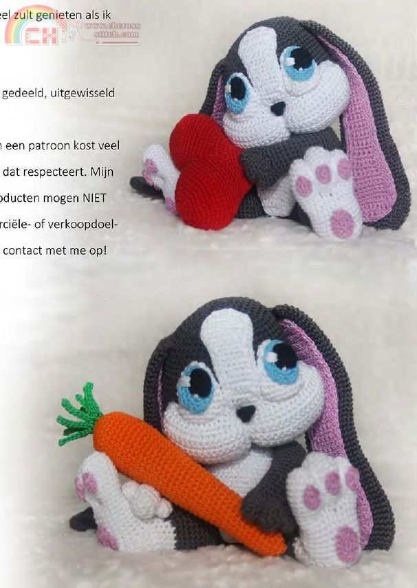 bunny.jpg
