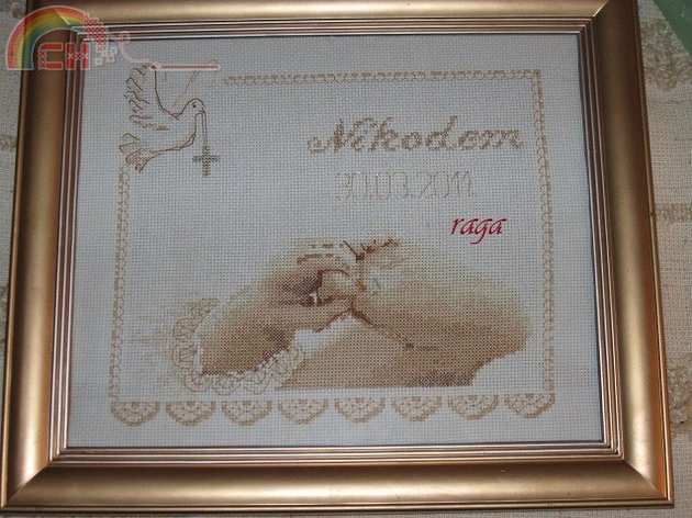 Birth sampler - Mlodetski 