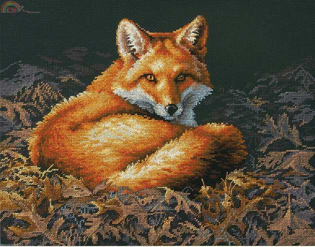 Dim35318 OK Sunlit Fox.JPG