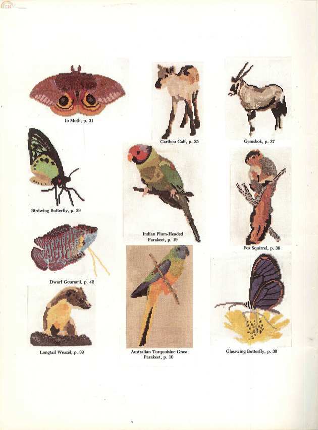 02 Inside Front Cover.jpg