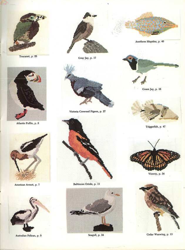 03 Inside Back Cover.jpg