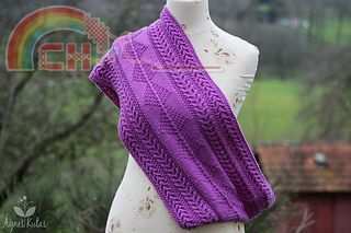nepalcowl-9114_small2.jpg