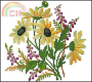 Rudbeckia.jpg