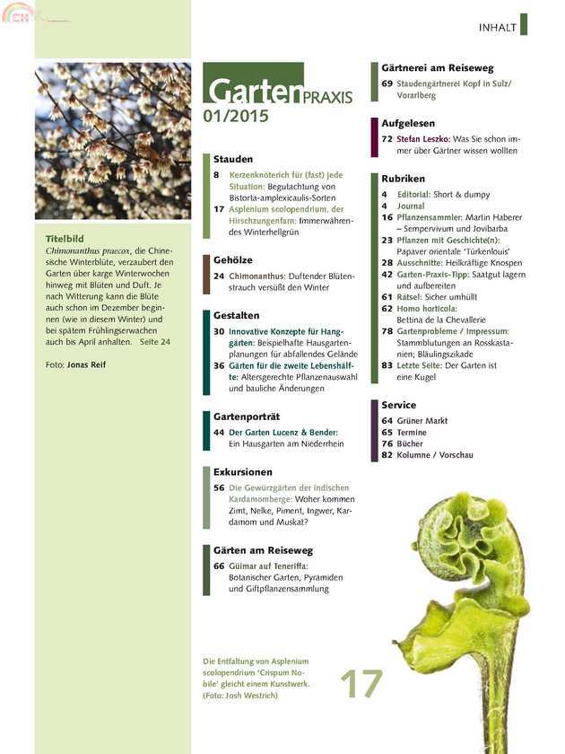 Gartenpraxis N°1-2015 (2).jpg