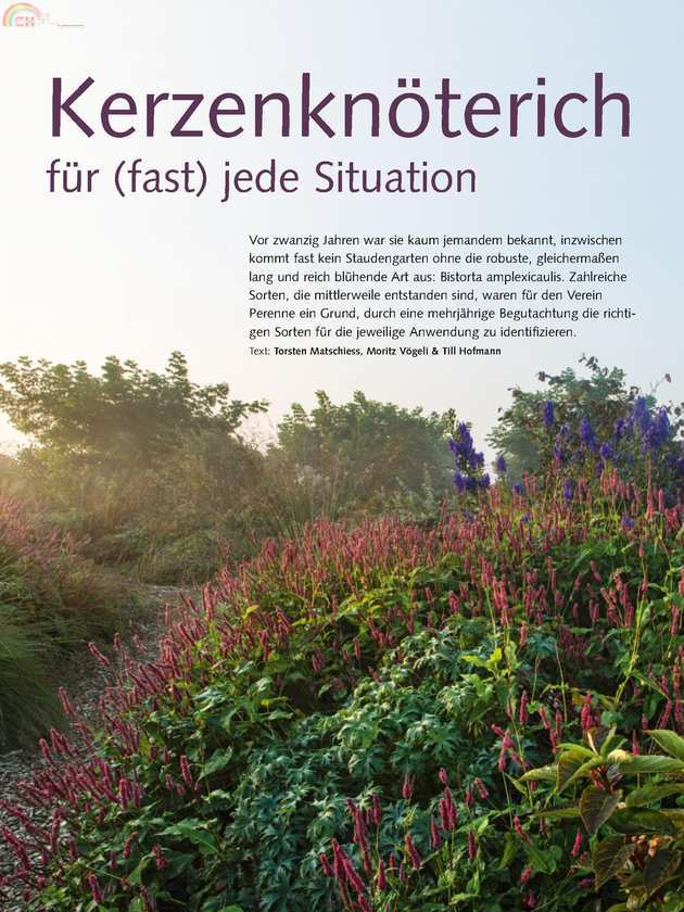 Gartenpraxis N°1-2015 (7).jpg