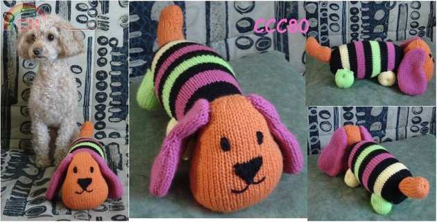Chien multicolor.jpg