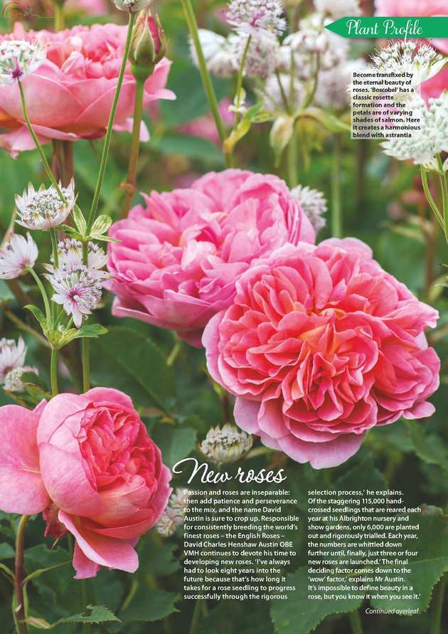 Gardening (24).jpg