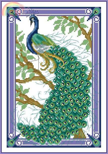 JE_CSCrazy_200_Peacock_Set_G.jpg