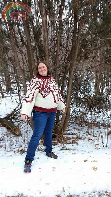 Fenghuang Kimono Sweater by Tania Richter.jpg