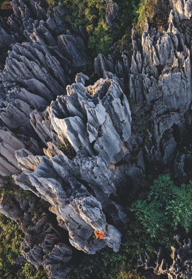 National Geographic (53).jpg