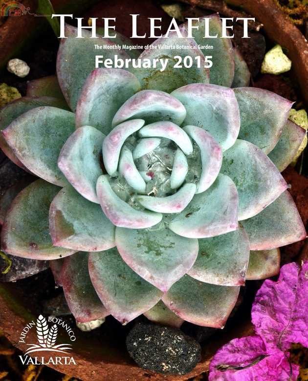 Vallarta Botanical Garden-The Leaflet-page-001.jpg