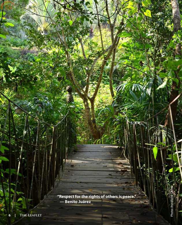 Vallarta Botanical Garden-The Leaflet-page-008.jpg